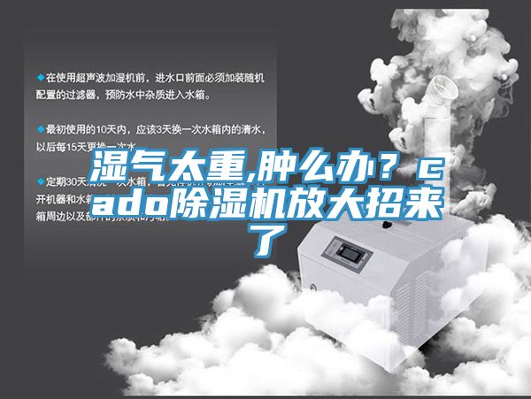 濕氣太重,腫麽辦？cado杏仁视频APP成人官方污放大招來了