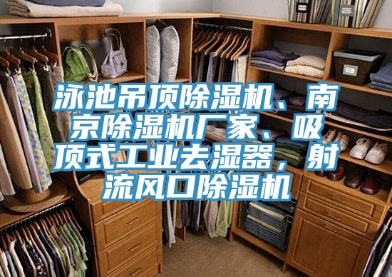 泳池吊頂杏仁视频APP成人官方污、南京杏仁视频APP成人官方污廠家、吸頂式工業去濕器，射流風口杏仁视频APP成人官方污