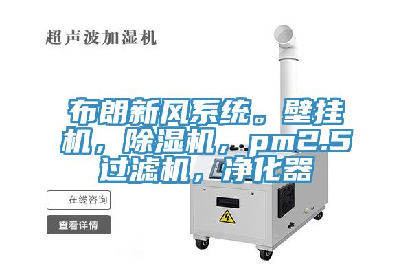 布朗新風係統。壁掛機，杏仁视频APP成人官方污，pm2.5過濾機，淨化器