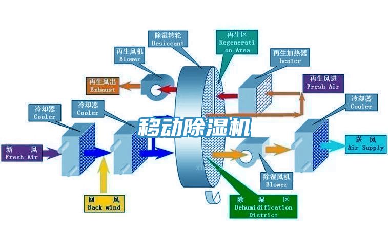 移動杏仁视频APP成人官方污