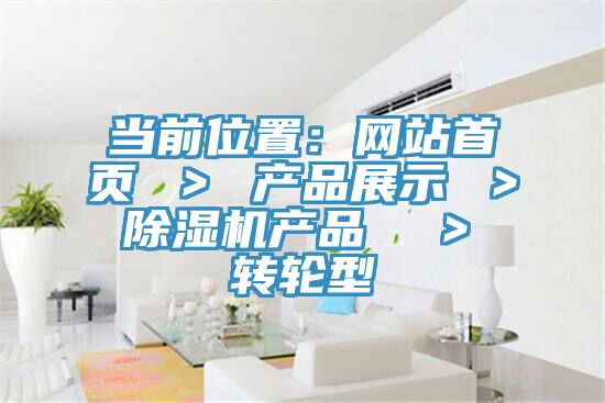 當前位置：網站首頁 ＞ 產品展示 ＞ 杏仁视频APP成人官方污產品  ＞ 轉輪型