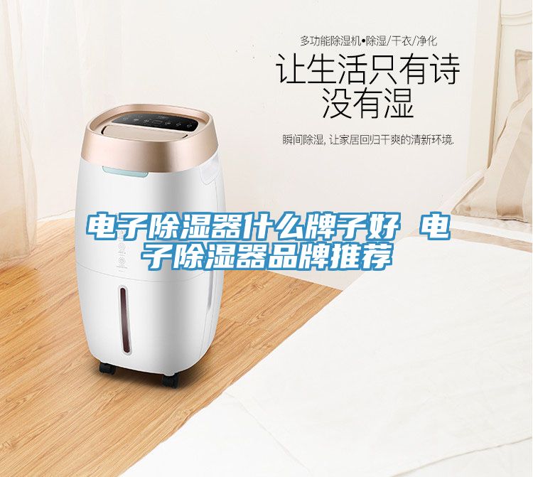 電子除濕器什麽牌子好 電子除濕器品牌推薦