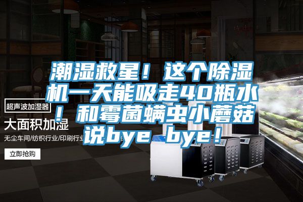 潮濕救星！這個杏仁视频APP成人官方污一天能吸走40瓶水！和黴菌蟎蟲小蘑菇說bye bye！