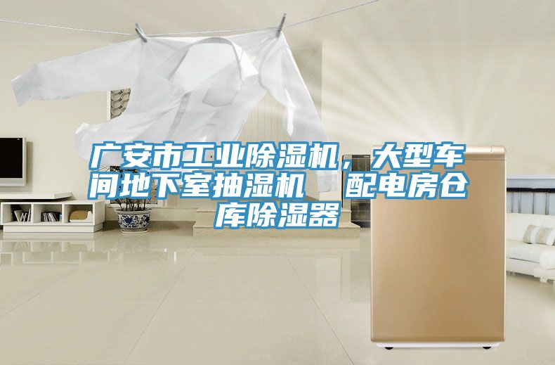 廣安市工業杏仁视频APP成人官方污，大型車間地下室抽濕機  配電房倉庫除濕器