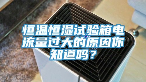 恒溫恒濕試驗箱電流量過大的原因你知道嗎？