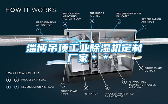 淄博吊頂工業杏仁视频APP成人官方污定製 廠家＊＊