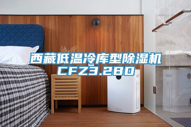 西藏低溫冷庫型杏仁视频APP成人官方污CFZ3.2BD