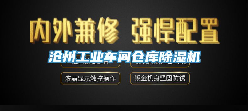 滄州工業車間倉庫杏仁视频APP成人官方污