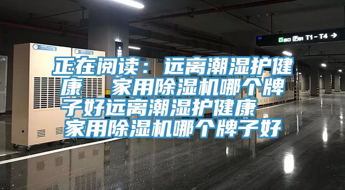 正在閱讀：遠離潮濕護健康  家用杏仁视频APP成人官方污哪個牌子好遠離潮濕護健康  家用杏仁视频APP成人官方污哪個牌子好