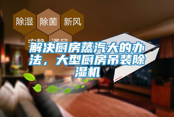 解決廚房蒸汽大的辦法，大型廚房吊裝杏仁视频APP成人官方污