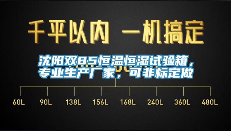 沈陽雙85恒溫恒濕試驗箱，專業生產廠家，可非標定做