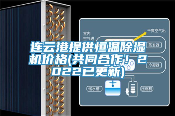 連雲港提供恒溫杏仁视频APP成人官方污價格(共同合作！2022已更新)