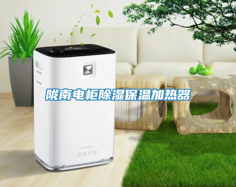 隴南電櫃除濕保溫加熱器