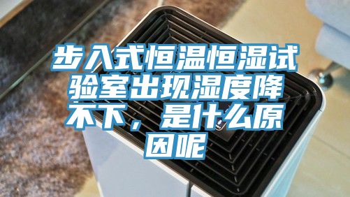 步入式恒溫恒濕試驗室出現濕度降不下，是什麽原因呢