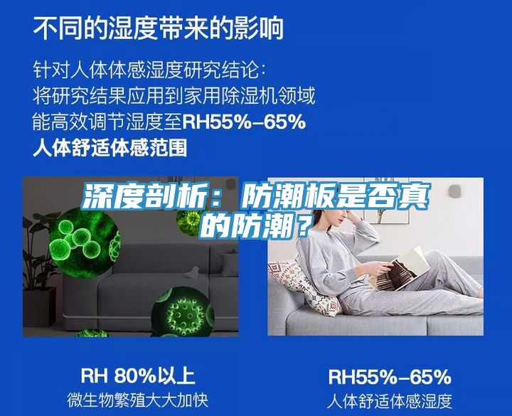 深度剖析：防潮板是否真的防潮？