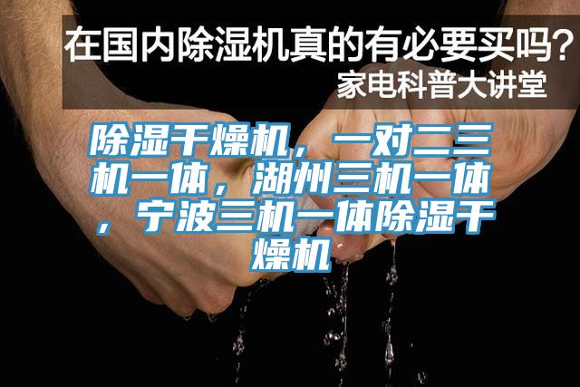 除濕幹燥機，一對二三機一體，湖州三機一體，寧波三機一體除濕幹燥機