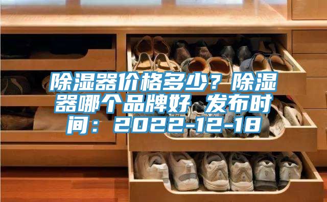 除濕器價格多少？除濕器哪個品牌好 發布時間：2022-12-18