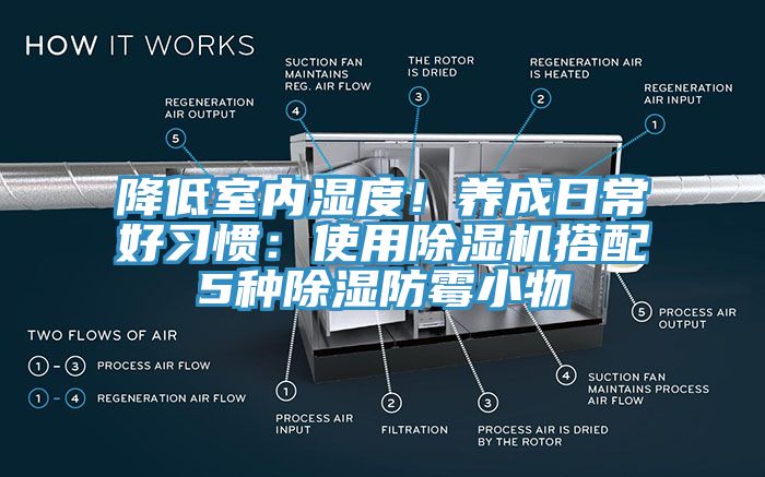 降低室內濕度！養成日常好習慣：使用杏仁视频APP成人官方污搭配5種除濕防黴小物