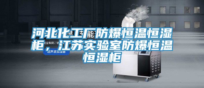 河北化工廠防爆恒溫恒濕櫃，江蘇實驗室防爆恒溫恒濕櫃