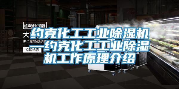 約克化工工業杏仁视频APP成人官方污—約克化工工業杏仁视频APP成人官方污工作原理介紹