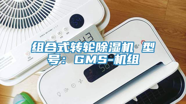 組合式轉輪杏仁视频APP成人官方污 型號：GMS-機組