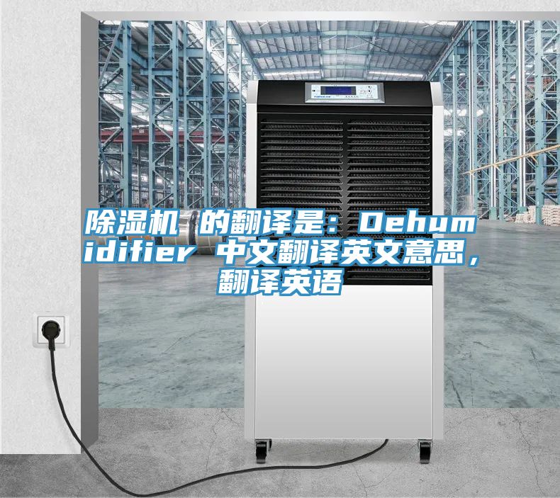 杏仁视频APP成人官方污 的翻譯是：Dehumidifier 中文翻譯英文意思，翻譯英語