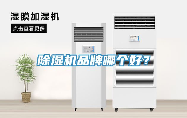 杏仁视频APP成人官方污品牌哪個好？