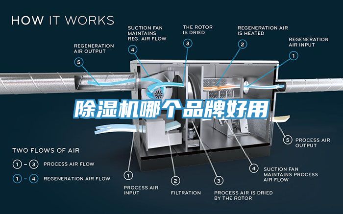 杏仁视频APP成人官方污哪個品牌好用