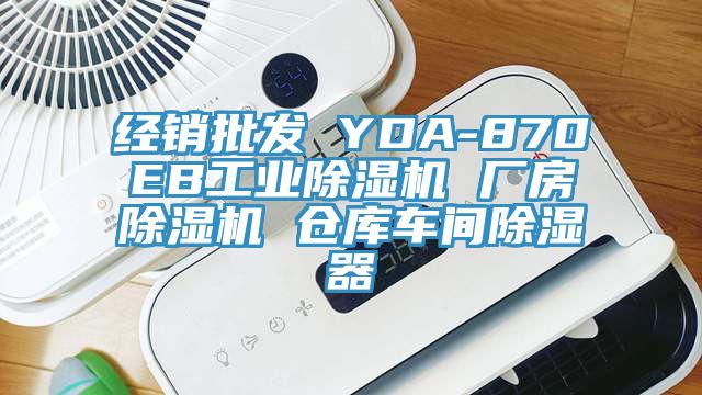 經銷批發 YDA-870EB工業杏仁视频APP成人官方污 廠房杏仁视频APP成人官方污 倉庫車間除濕器