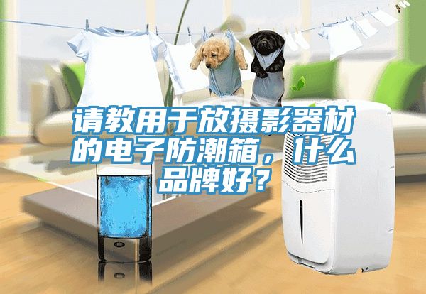 請教用於放攝影器材的電子防潮箱，什麽品牌好？