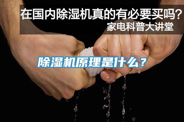 杏仁视频APP成人官方污原理是什麽？