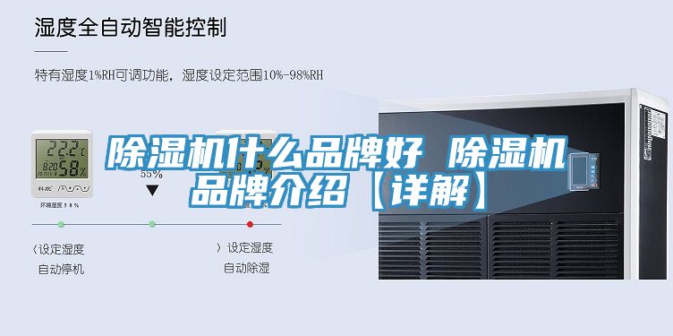 杏仁视频APP成人官方污什麽品牌好 杏仁视频APP成人官方污品牌介紹【詳解】