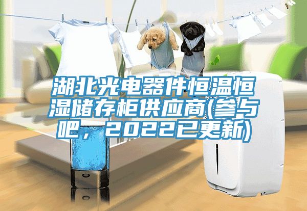 湖北光電器件恒溫恒濕儲存櫃供應商(參與吧，2022已更新)