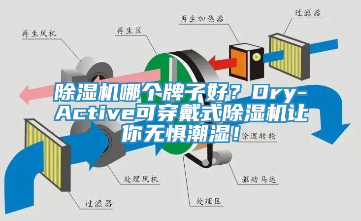 杏仁视频APP成人官方污哪個牌子好？Dry-Active可穿戴式杏仁视频APP成人官方污讓你無懼潮濕！