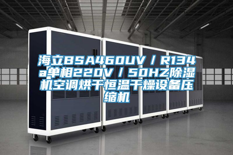 海立BSA460UV／R134a單相220V／50HZ杏仁视频APP成人官方污空調烘幹恒溫幹燥設備壓縮機