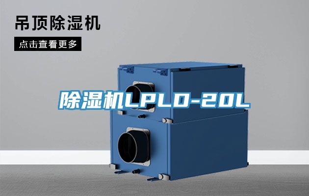 杏仁视频APP成人官方污LPLD-20L