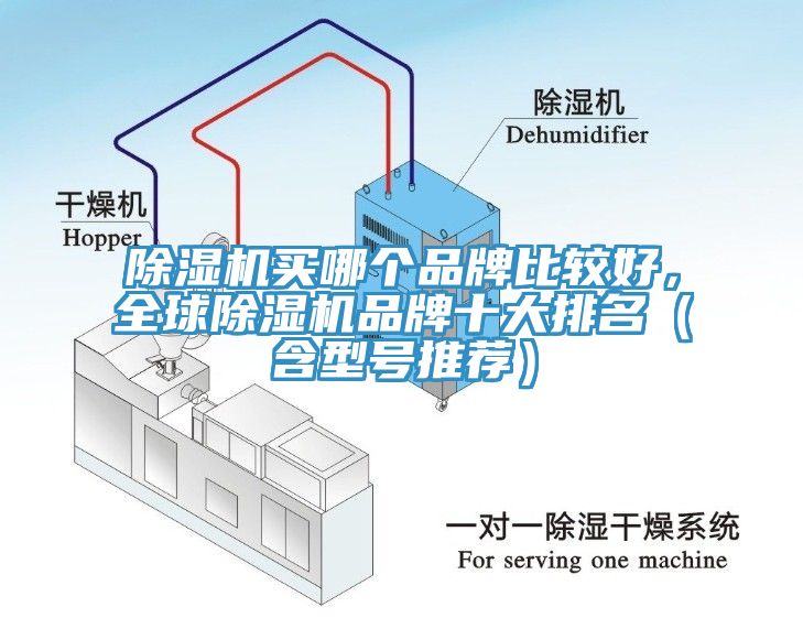 杏仁视频APP成人官方污買哪個品牌比較好，全球杏仁视频APP成人官方污品牌十大排名（含型號推薦）