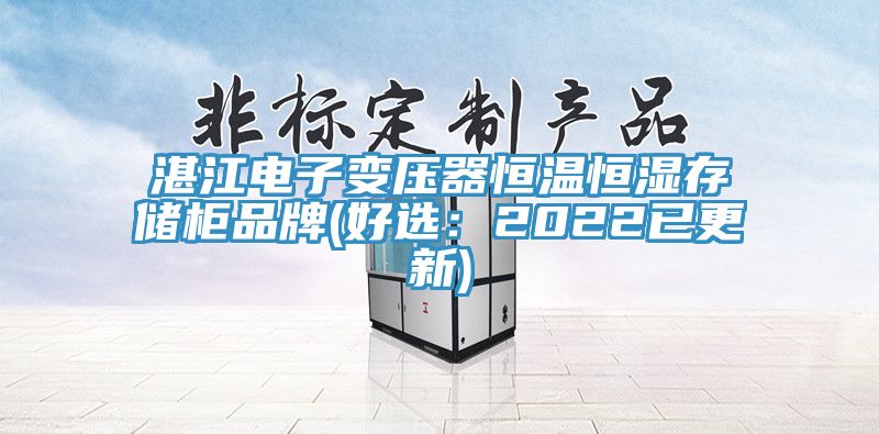 湛江電子變壓器恒溫恒濕存儲櫃品牌(好選：2022已更新)