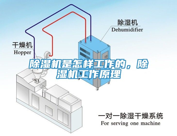 杏仁视频APP成人官方污是怎樣工作的，杏仁视频APP成人官方污工作原理