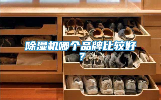 杏仁视频APP成人官方污哪個品牌比較好？