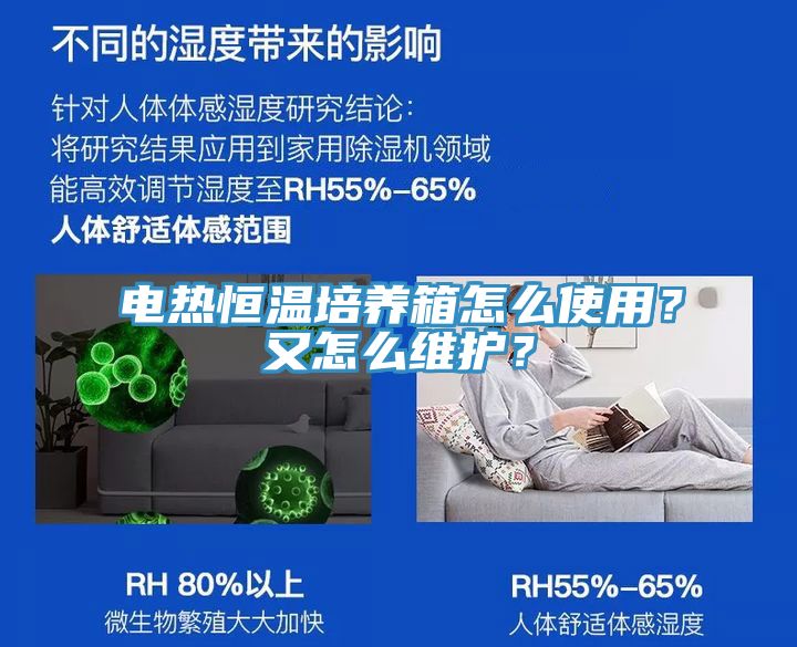 電熱恒溫培養箱怎麽使用？又怎麽維護？