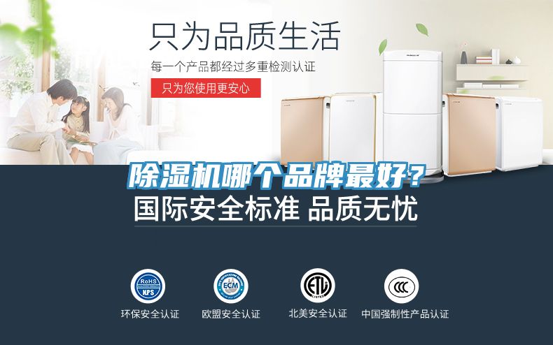 杏仁视频APP成人官方污哪個品牌最好？