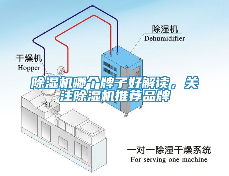 杏仁视频APP成人官方污哪個牌子好解讀，關注杏仁视频APP成人官方污推薦品牌